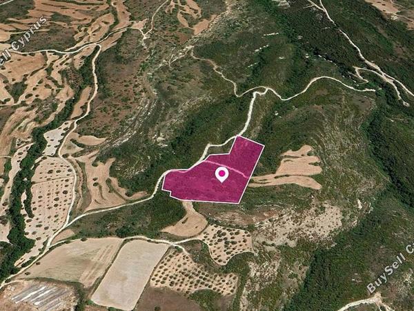 land for sale simou paphos 8396147 image 14823794
