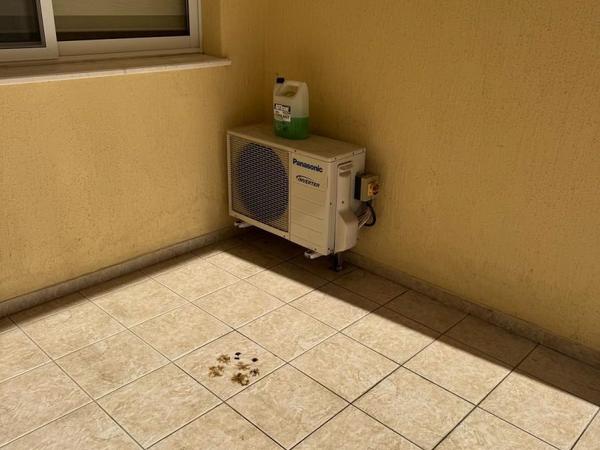 2 bedroom town house for sale kato paphos universal paphos 8395247 image 16042176