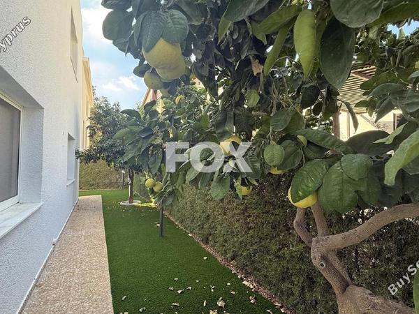 4 bedroom detached house for sale ekali limassol 7867247 image 10908161