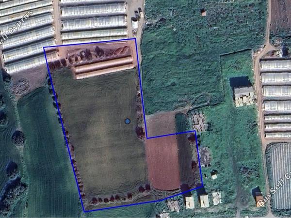 land for sale maroni larnaca 7804247 image 10584017