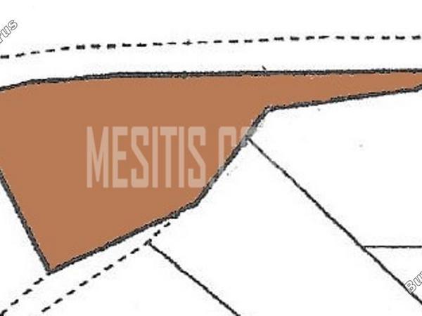 land for sale pera orinis nicosia 977247 image 10554472