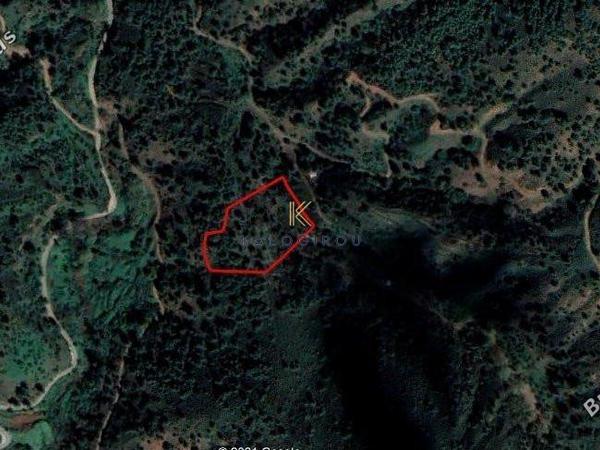 plot for sale kampos nicosia 1195247 image 5576704