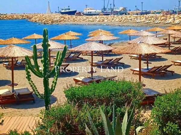 3 bedroom detached house for rent zygi larnaca 8804347 image 16787178