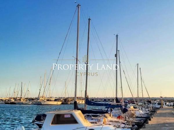 3 bedroom detached house for rent zygi larnaca 8804347 image 16787182