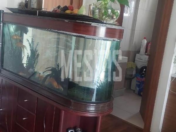 studio building for rent faneromeni larnaca 8081347 image 13099303