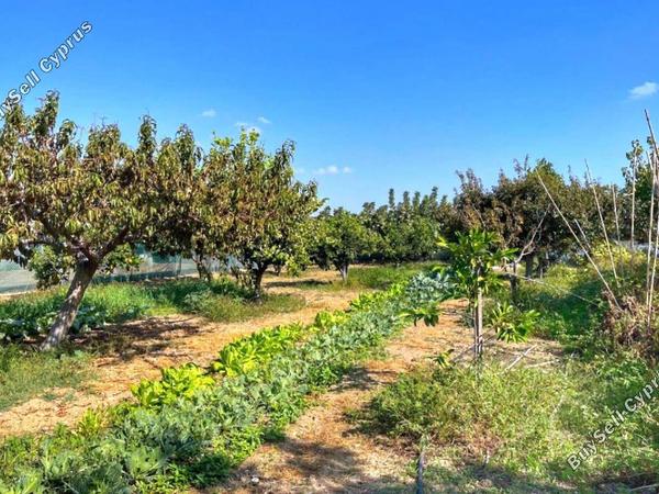 3 bedroom detached house for sale maroni larnaca 1659447 image 13281965
