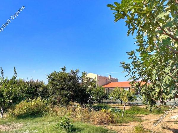 3 bedroom detached house for sale maroni larnaca 1659447 image 13281979