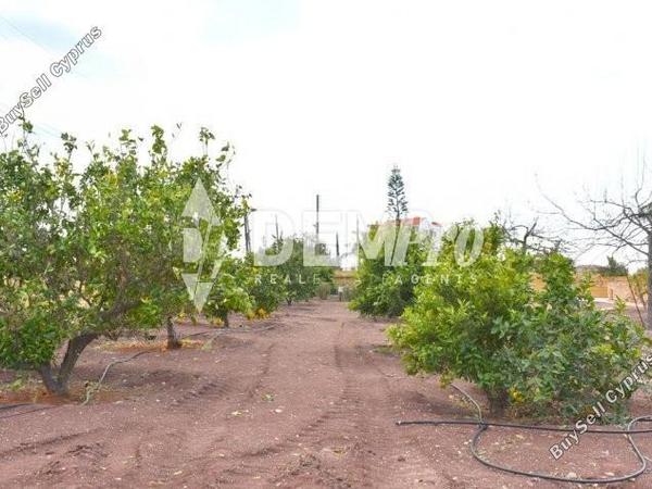 3 bedroom detached house for sale sea caves peyia paphos 7812447 image 10639864