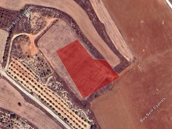 land for sale frenaros famagusta 8630447 image 15873383