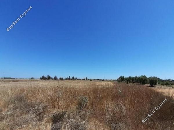 land for sale frenaros famagusta 8630447 image 15873386