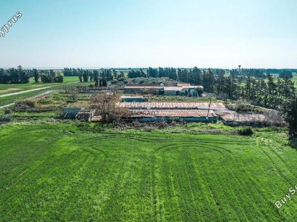 land for sale meneou larnaca 1674447 image 5671571