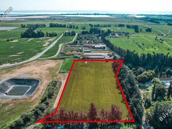 land for sale meneou larnaca 1674447 image 5671590