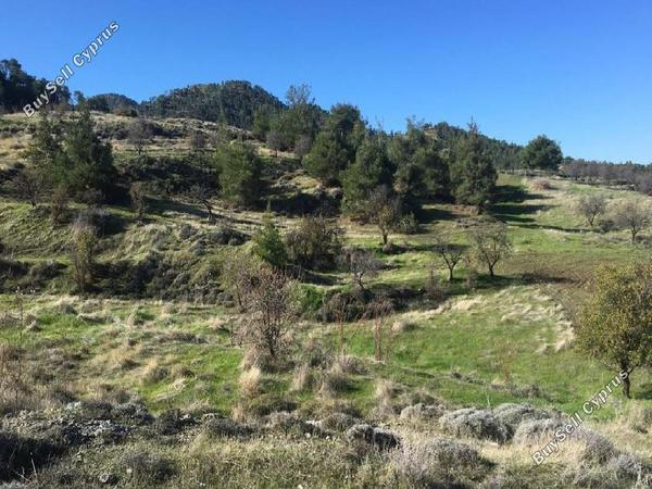 land for sale nikitari nicosia 946447 image 15601129