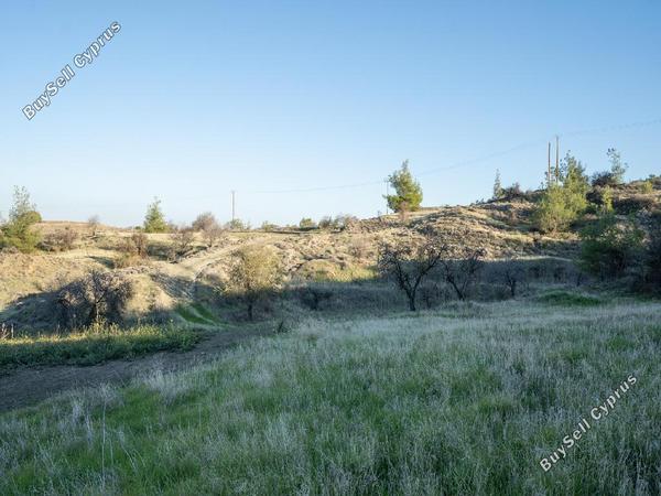 land for sale nikitari nicosia 946447 image 15601131