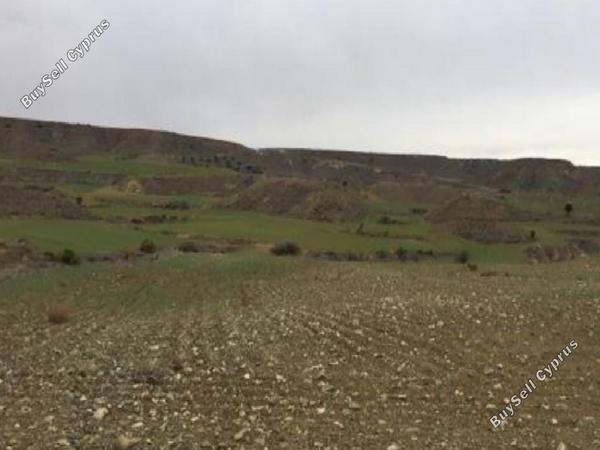 land for sale pera orinis nicosia 8798447 image 16715773