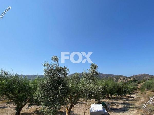 land for sale pissouri limassol 1253447 image 5581049