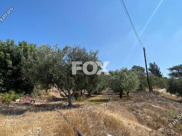 land for sale pissouri limassol 1253447 image 5581052