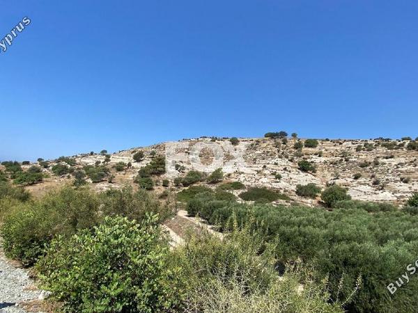land for sale pissouri limassol 1253447 image 5581056