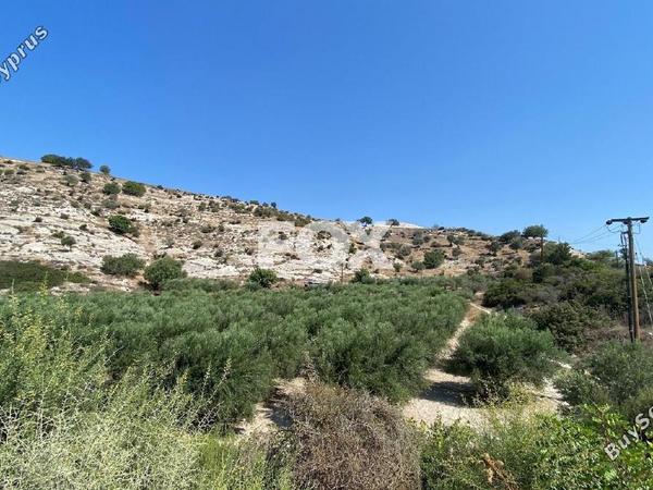 land for sale pissouri limassol 1253447 image 5581059