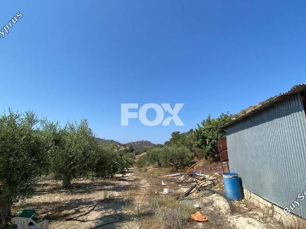 land for sale pissouri limassol 1253447 image 5581068