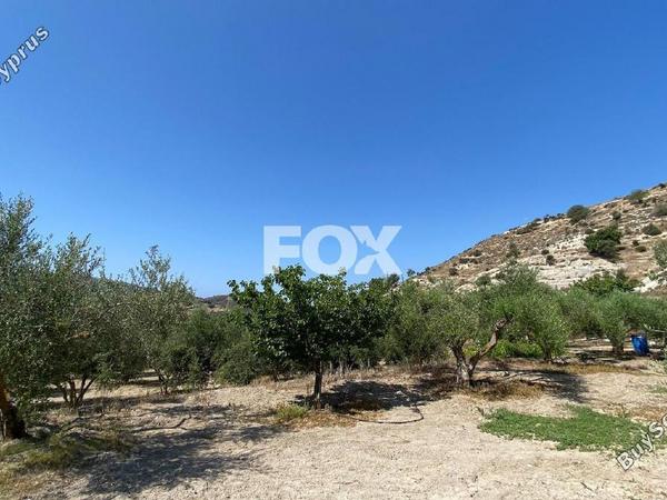 land for sale pissouri limassol 1253447 image 5581077