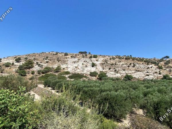 land for sale pissouri limassol 1253447 image 5581079