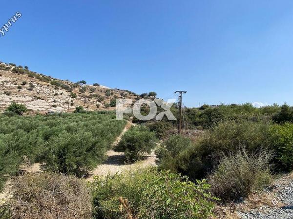 land for sale pissouri limassol 1253447 image 5581083