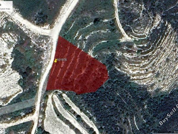 plot for sale tsada paphos 8237447 image 14229056