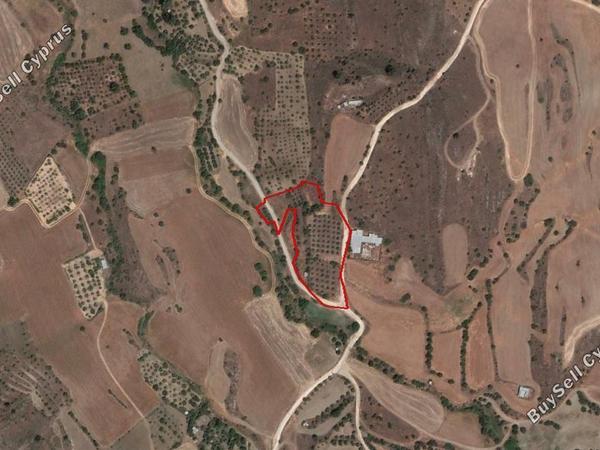 land for sale mitsero nicosia 919547 image 6570160