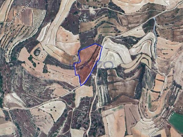 land for sale pachna limassol 8156547 image 13482519