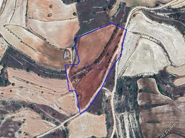 land for sale pachna limassol 8156547 image 13482520