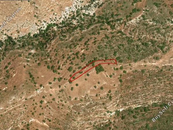land for sale peyia paphos 8630547 image 16210499