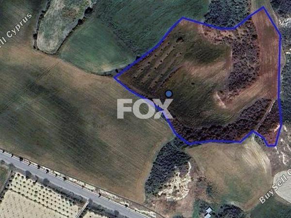land for sale steni paphos 1516547 image 5632735