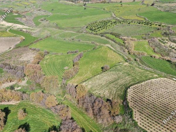 land for sale stroumbi paphos 8237547 image 14230623