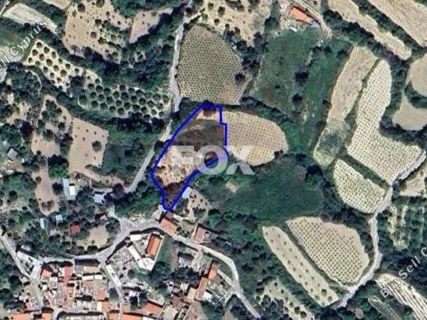 land for sale koili paphos 1161647 image 5562588