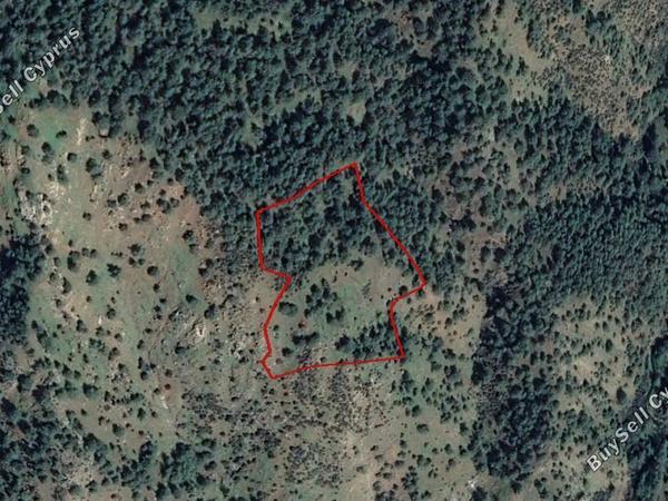 land for sale pigenia nicosia 829647 image 6572129