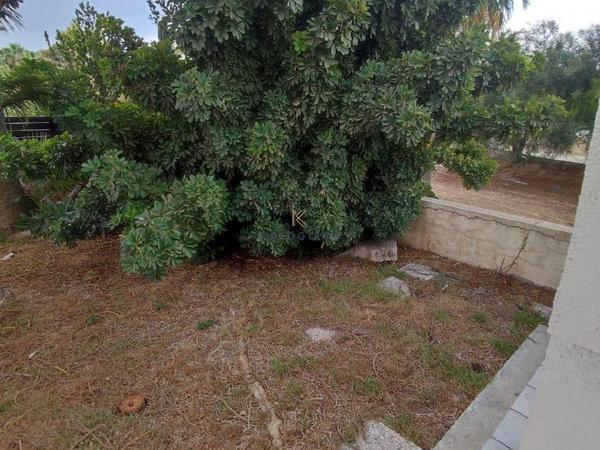 3 bedroom detached house for sale dekeleia larnaca 7513747 image 9828783