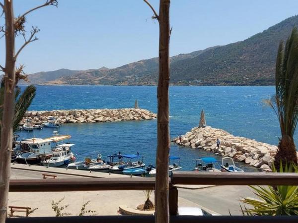 4 bedroom detached house for sale pomos paphos 8395747 image 16047139