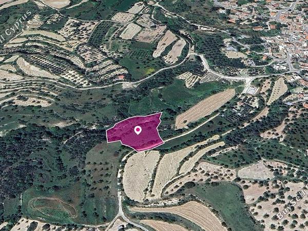 land for sale kallepeia paphos 1213747 image 13721469