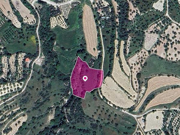 land for sale kallepeia paphos 1213747 image 13721480