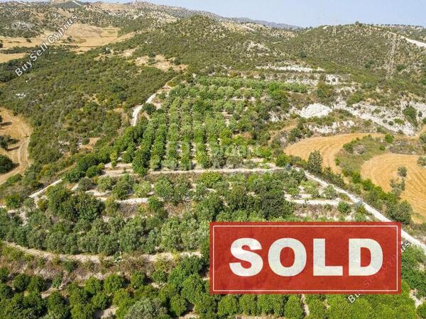 land sold skarinou larnaca 1225747 image 2322567