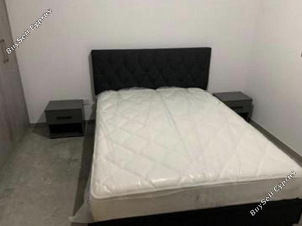 2 bedroom apartment for rent kato polemidia limassol 8785847 image 16660057