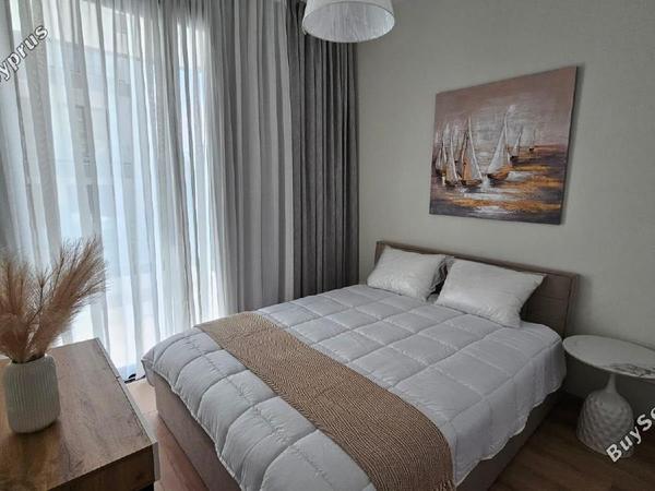 1 bedroom apartment for rent germasogeia limassol 8625947 image 16332291
