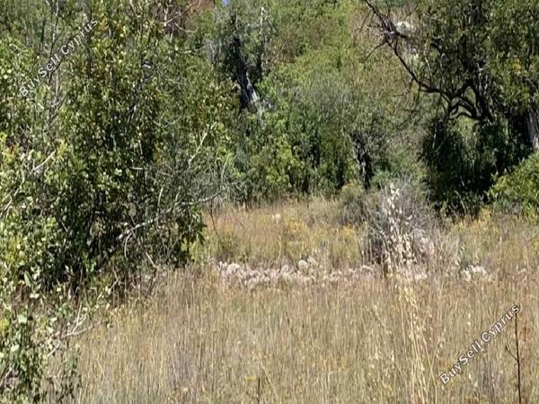 land for sale kritou tera paphos 1215947 image 15602071