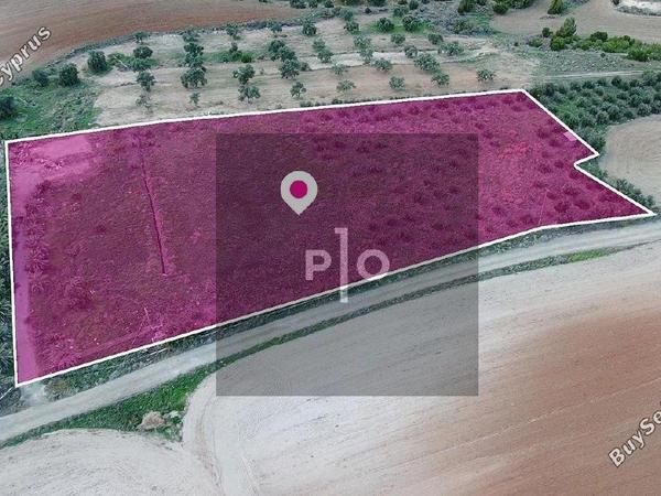 land for sale latsia nicosia 8274947 image 15156487