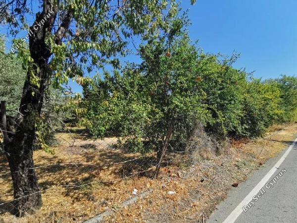 land for sale pomos paphos 1517947 image 13346970