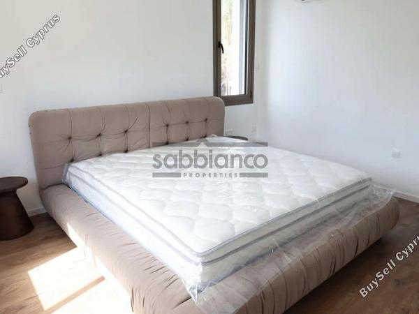 3 bedroom apartment for rent agios dometios nicosia 8749057 image 16471353