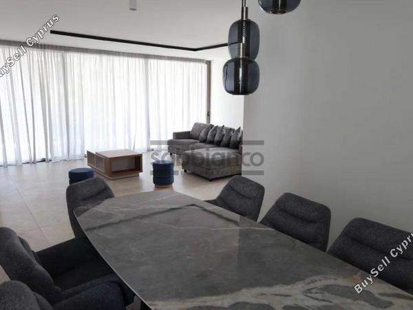 3 bedroom apartment for rent agios dometios nicosia 8749057 image 16471398