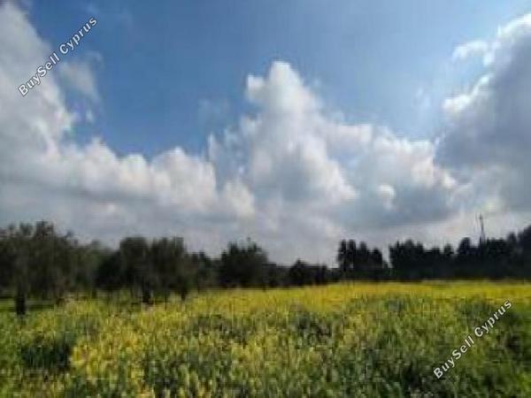 land for sale kornos larnaca 8705057 image 16242308