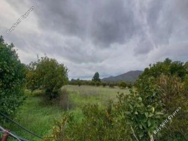 land for sale kornos larnaca 8705057 image 16242309